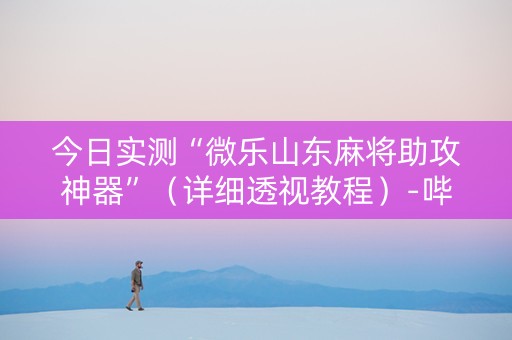 今日实测“微乐山东麻将助攻神器”（详细透视教程）-哔哩哔哩