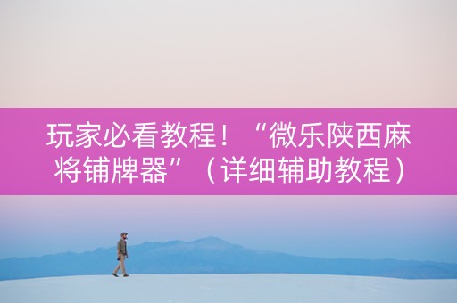 玩家必看教程！“微乐陕西麻将铺牌器”（详细辅助教程）-哔哩哔哩