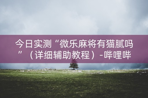 今日实测“微乐麻将有猫腻吗”（详细辅助教程）-哔哩哔哩