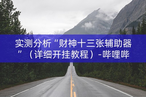 实测分析“财神十三张辅助器”（详细开挂教程）-哔哩哔哩