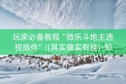 玩家必备教程“微乐斗地主透视插件”!(其实确实有挂)-知乎