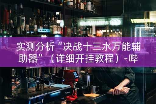实测分析“决战十三水万能辅助器”（详细开挂教程）-哔哩哔哩