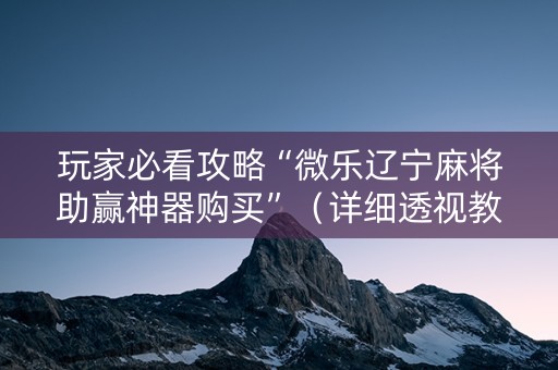 玩家必看攻略“微乐辽宁麻将助赢神器购买”（详细透视教程）-哔哩哔哩