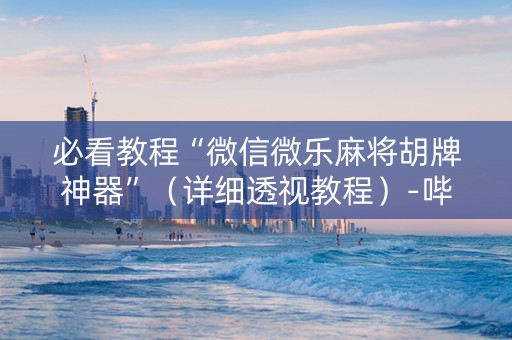 必看教程“微信微乐麻将胡牌神器”（详细透视教程）-哔哩哔哩