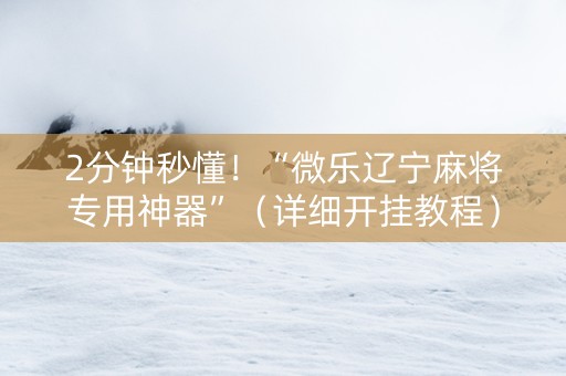 2分钟秒懂！“微乐辽宁麻将专用神器”（详细开挂教程）-哔哩哔哩