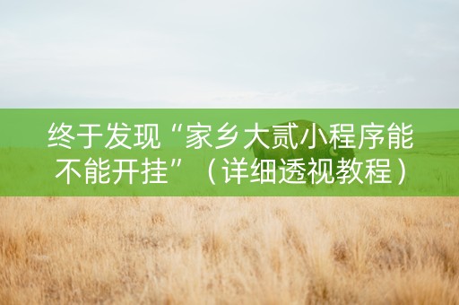 详细阅读:终于发现“家乡大贰小程序能不能开挂”(详细透视教程)-哔哩哔哩 终于发现“家乡大贰小程序能不能开挂”(详细透视教程)-哔哩哔哩