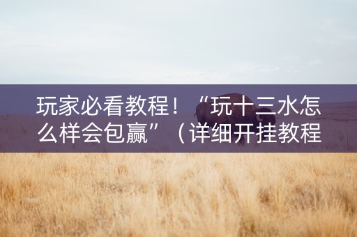 玩家必看教程！“玩十三水怎么样会包赢”（详细开挂教程）-哔哩哔哩
