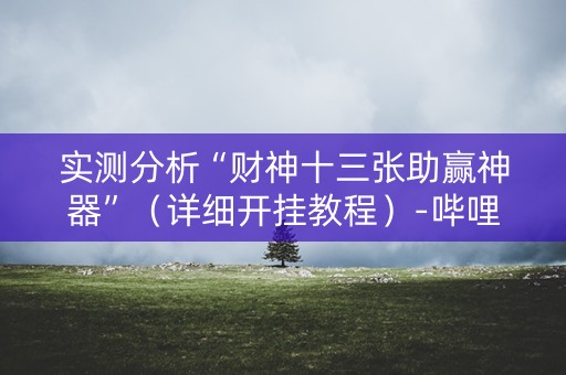实测分析“财神十三张助赢神器”（详细开挂教程）-哔哩哔哩