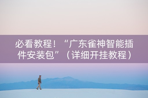 必看教程！“广东雀神智能插件安装包”（详细开挂教程）-哔哩哔哩