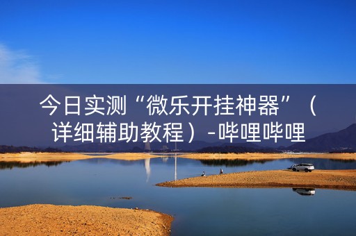今日实测“微乐开挂神器”（详细辅助教程）-哔哩哔哩