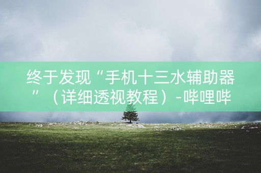 详细阅读:终于发现“手机十三水辅助器”(详细透视教程)-哔哩哔哩 终于发现“手机十三水辅助器”(详细透视教程)-哔哩哔哩