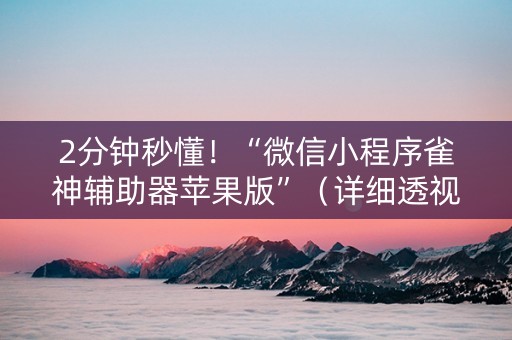 2分钟秒懂！“微信小程序雀神辅助器苹果版”（详细透视教程）-哔哩哔哩