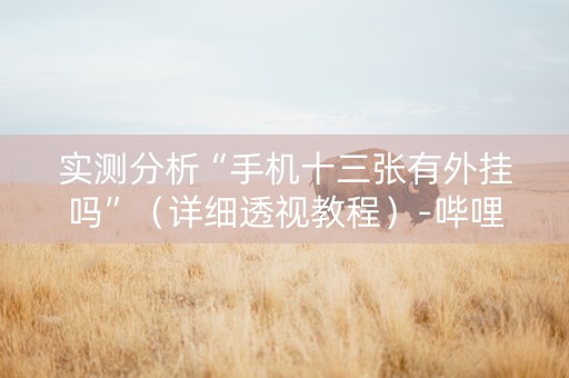实测分析“手机十三张有外挂吗”（详细透视教程）-哔哩哔哩