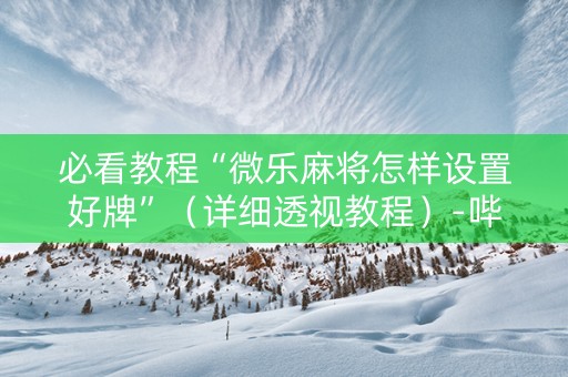 必看教程“微乐麻将怎样设置好牌”（详细透视教程）-哔哩哔哩