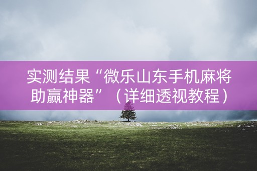 实测结果“微乐山东手机麻将助赢神器”（详细透视教程）-哔哩哔哩