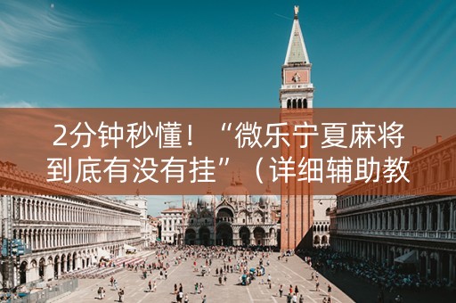 2分钟秒懂！“微乐宁夏麻将到底有没有挂”（详细辅助教程）-哔哩哔哩
