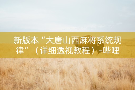 新版本“大唐山西麻将系统规律”（详细透视教程）-哔哩哔哩