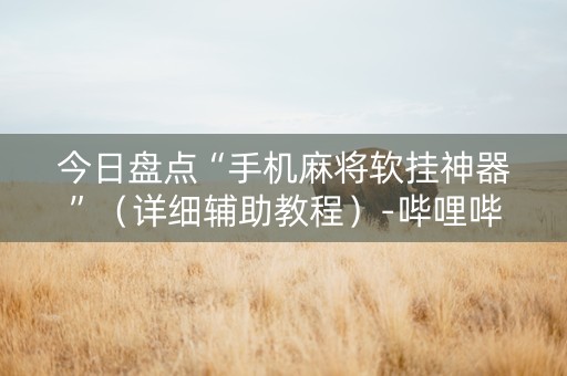 今日盘点“手机麻将软挂神器”（详细辅助教程）-哔哩哔哩