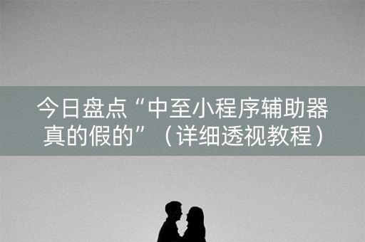 今日盘点“中至小程序辅助器真的假的”（详细透视教程）-哔哩哔哩
