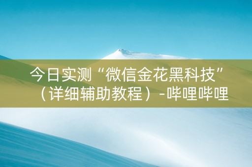 今日实测“微信金花黑科技”（详细辅助教程）-哔哩哔哩