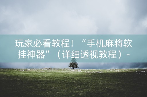 玩家必看教程！“手机麻将软挂神器”（详细透视教程）-哔哩哔哩