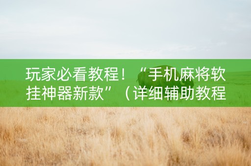 玩家必看教程！“手机麻将软挂神器新款”（详细辅助教程）-哔哩哔哩