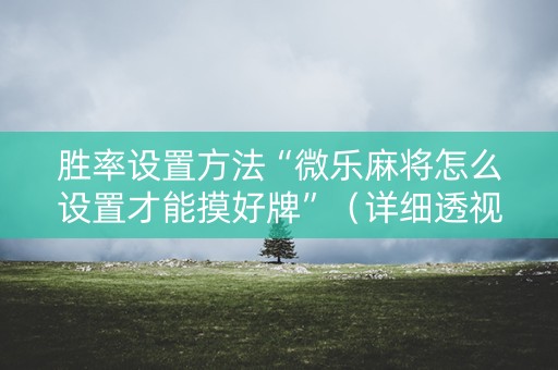胜率设置方法“微乐麻将怎么设置才能摸好牌”（详细透视教程）-哔哩哔哩