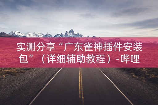 实测分享“广东雀神插件安装包”（详细辅助教程）-哔哩哔哩