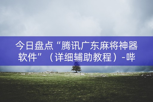 今日盘点“腾讯广东麻将神器软件”（详细辅助教程）-哔哩哔哩