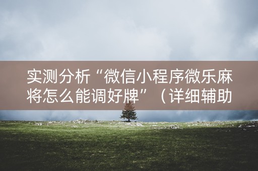 实测分析“微信小程序微乐麻将怎么能调好牌”（详细辅助教程）-哔哩哔哩