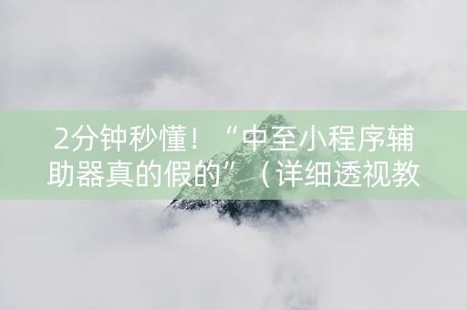 2分钟秒懂！“中至小程序辅助器真的假的”（详细透视教程）-哔哩哔哩