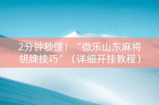 2分钟秒懂！“微乐山东麻将胡牌技巧”（详细开挂教程）-哔哩哔哩