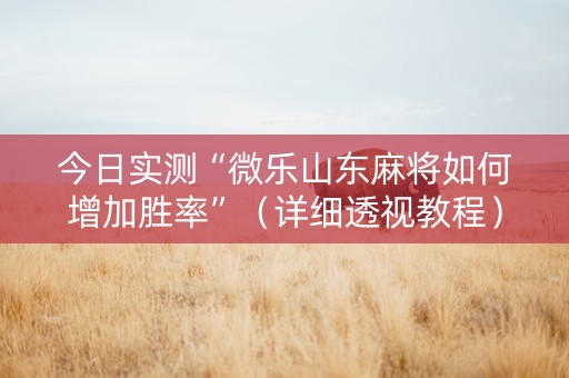 今日实测“微乐山东麻将如何增加胜率”（详细透视教程）-哔哩哔哩