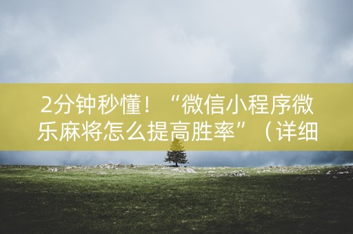 2分钟秒懂！“微信小程序微乐麻将怎么提高胜率”（详细辅助教程）-哔哩哔哩