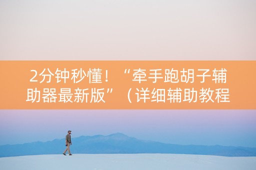 2分钟秒懂！“牵手跑胡子辅助器最新版”（详细辅助教程）-哔哩哔哩