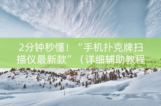 2分钟秒懂！“手机扑克牌扫描仪最新款”（详细辅助教程）-哔哩哔哩