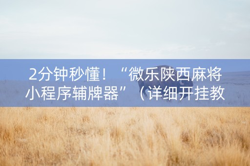 2分钟秒懂！“微乐陕西麻将小程序辅牌器”（详细开挂教程）-哔哩哔哩