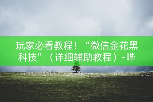 玩家必看教程！“微信金花黑科技”（详细辅助教程）-哔哩哔哩