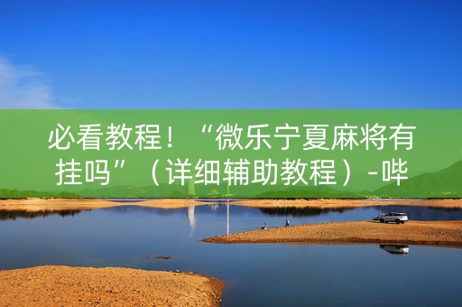 必看教程！“微乐宁夏麻将有挂吗”（详细辅助教程）-哔哩哔哩