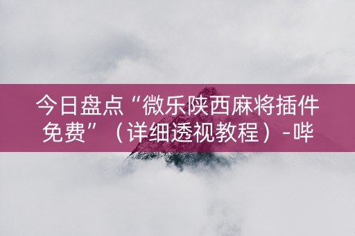 今日盘点“微乐陕西麻将插件免费”（详细透视教程）-哔哩哔哩