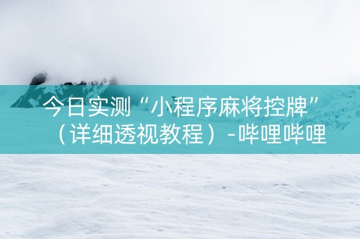 今日实测“小程序麻将控牌”（详细透视教程）-哔哩哔哩