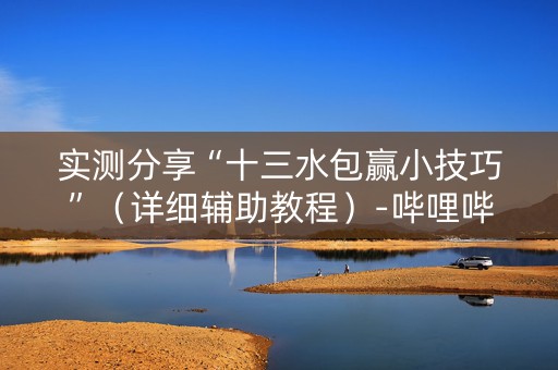 实测分享“十三水包赢小技巧”（详细辅助教程）-哔哩哔哩
