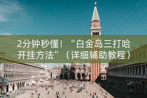 2分钟秒懂！“白金岛三打哈开挂方法”（详细辅助教程）-哔哩哔哩