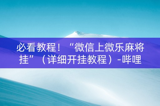 必看教程！“微信上微乐麻将挂”（详细开挂教程）-哔哩哔哩
