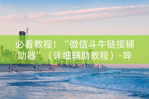 必看教程！“微信斗牛链接辅助器”（详细辅助教程）-哔哩哔哩