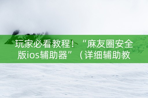 玩家必看教程！“麻友圈安全版ios辅助器”（详细辅助教程）-哔哩哔哩