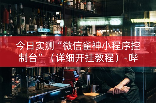 今日实测“微信雀神小程序控制台”（详细开挂教程）-哔哩哔哩