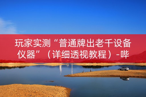 玩家实测“普通牌出老千设备仪器”（详细透视教程）-哔哩哔哩