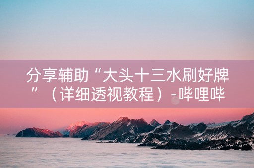 分享辅助“大头十三水刷好牌”（详细透视教程）-哔哩哔哩