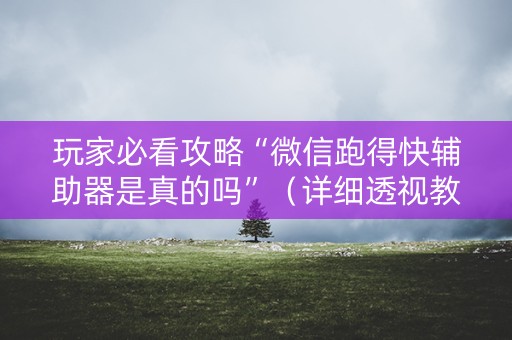 玩家必看攻略“微信跑得快辅助器是真的吗”（详细透视教程）-哔哩哔哩